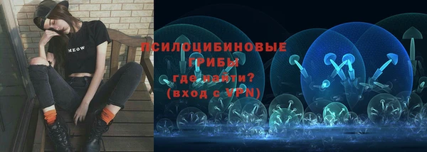 спайс Алексин