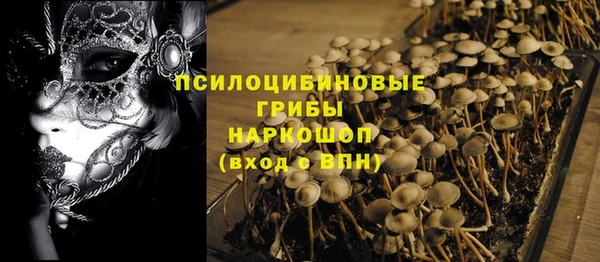 спайс Алексин