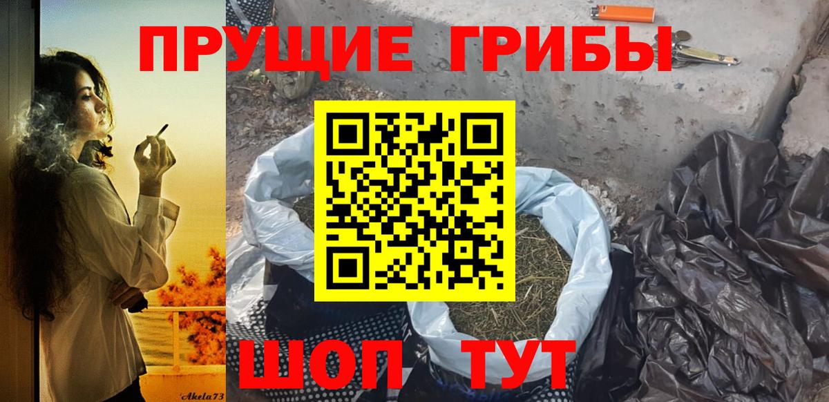 Галлюциногенные грибы GOLDEN TEACHER Благодарный