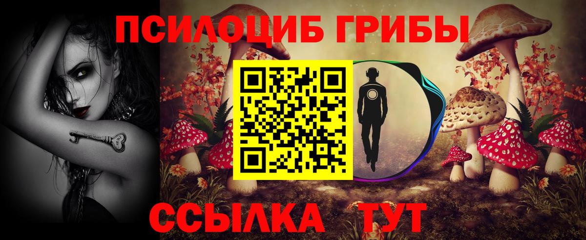 Благодарный  Псилоцибиновые грибы MAGIC MUSHROOMS  Вход с VPN 